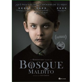 Bosque maldito - DVD