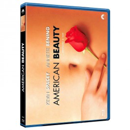 American beauty (bsh) - BD HORIZONTAL